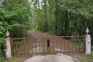 10411 County Rd 474, Clermont, FL 34714 - Photo 3