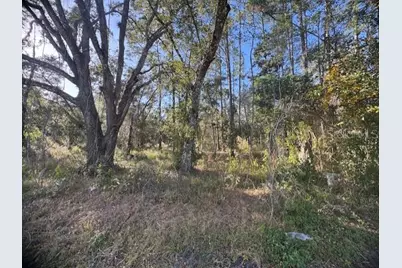 6355 Treiman Boulevard, Ridge Manor Estates, FL 33597 - Photo 3