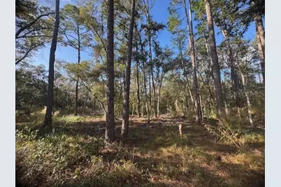 6355 Treiman Boulevard, Ridge Manor Estates, FL 33597 - Photo 9