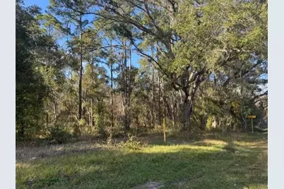 6355 Treiman Boulevard, Ridge Manor Estates, FL 33597 - Photo 7