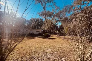 4639 Cr 690, Webster, FL 33597 - Photo 3