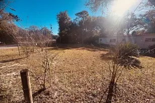 4639 Cr 690, Webster, FL 33597 - Photo 5