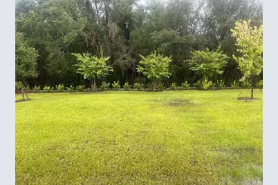 858 Sunshower Drive, Lady Lake, FL 32159 - Photo 13