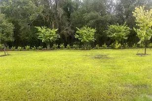 858 Sunshower Dr, Lady Lake, FL 32159 - Photo 13