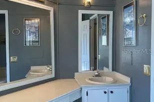 2353 W Coach N' 4 Dr, Leesburg, FL 34748 - Photo 43