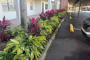 2452 Enterprise Rd, Clearwater, FL 33763 - Photo 21