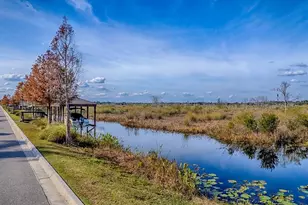 417 Blue Cypress Dr, Groveland, FL 34736 - Photo 55