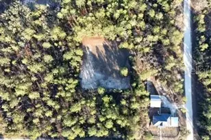 Tbd SW 138th Terrace, Ocala, FL 34481 - Photo 1