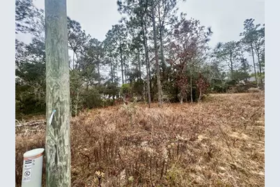 7710 N Santos Drive, Citrus Springs, FL 34434 - Photo 13