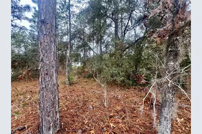 7710 N Santos Drive, Citrus Springs, FL 34434 - Photo 17