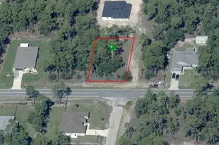 7710 N Santos Dr, Citrus Springs, FL 34434 - Photo 1