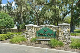 3354 Truluck Pl, Oxford, FL 34484 - Photo 63