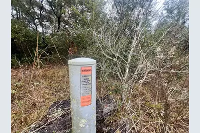 7983 N Jamaica Drive, Citrus Springs, FL 34433 - Photo 17