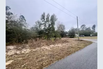 7983 N Jamaica Drive, Citrus Springs, FL 34433 - Photo 15