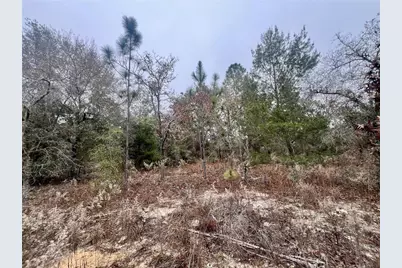 7983 N Jamaica Drive, Citrus Springs, FL 34433 - Photo 11