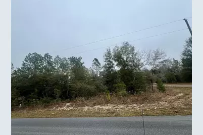 7983 N Jamaica Drive, Citrus Springs, FL 34433 - Photo 7
