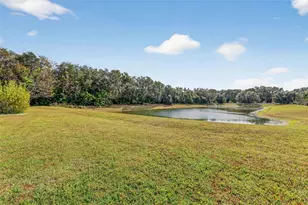 4507 Claire Rose Ct, Mount Dora, FL 32757 - Photo 9