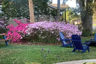 936 N Baker St, Mount Dora, FL 32757 - Photo 47