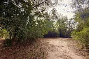 13942 Mascotte Empire Rd, Groveland, FL 34736 - Photo 9