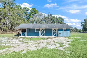 16 Meadow Wood Dr, Ocala, FL 34482 - Photo 49