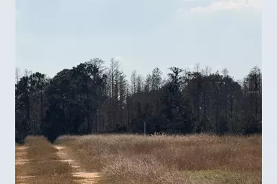 Lake Erie Road, Groveland, FL 34736 - Photo 5