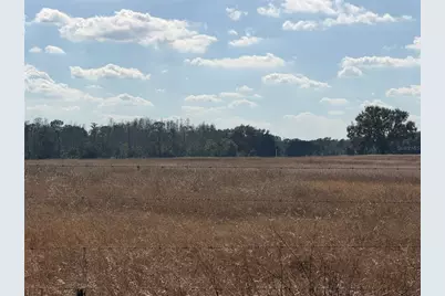 Lake Erie Road, Groveland, FL 34736 - Photo 3