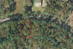 Sequoia Dr, Ocklawaha, FL 32179 - Photo 1