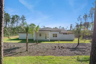 30807 Quince Ave, Eustis, FL 32736 - Photo 33