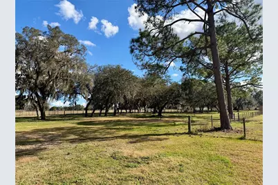 41041 Whilden Lane, Leesburg, FL 34788 - Photo 7