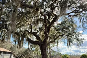 41041 Whilden Ln, Leesburg, FL 34788 - Photo 55