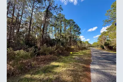 Lot 15 Apricot Avenue, Eustis, FL 32736 - Photo 17