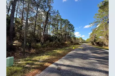 Lot 15 Apricot Avenue, Eustis, FL 32736 - Photo 21