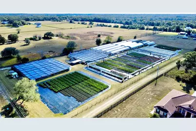 23010 Wolf Branch Road, Sorrento, FL 32776 - Photo 5