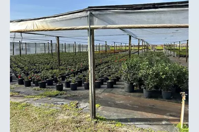 23010 Wolf Branch Road, Sorrento, FL 32776 - Photo 17