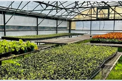 23010 Wolf Branch Road, Sorrento, FL 32776 - Photo 21