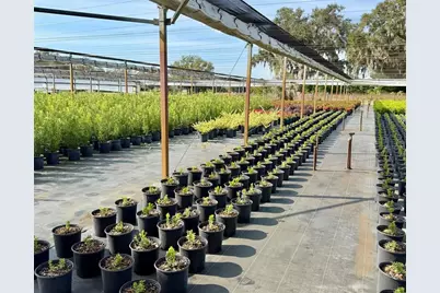 23010 Wolf Branch Road, Sorrento, FL 32776 - Photo 15