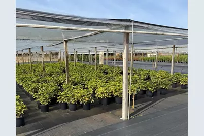 23010 Wolf Branch Road, Sorrento, FL 32776 - Photo 11