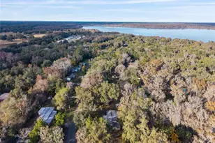 3809 Cr 405N, Lake Panasoffkee, FL 33538 - Photo 71