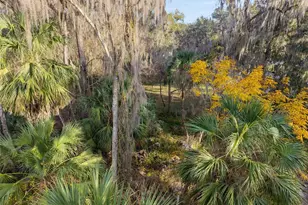 3809 Cr 405N, Lake Panasoffkee, FL 33538 - Photo 73