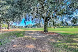 1726 Madero Dr, The Villages, FL 32159 - Photo 37