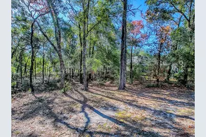 8686 SE 158th Street, Summerfield, FL 34491 - Photo 31