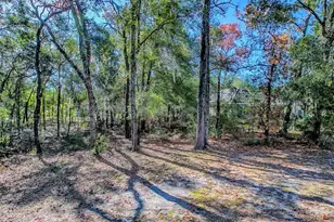 8686 SE 158th St, Summerfield, FL 34491 - Photo 31