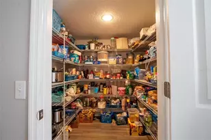 1033 Tawny Eagle Dr, Groveland, FL 34736 - Photo 25