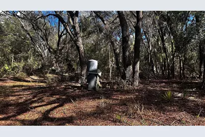 28093 SE Highway 42, Umatilla, FL 32784 - Photo 7