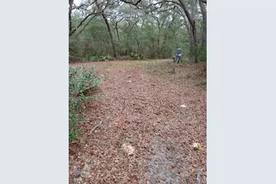 28093 SE Highway 42, Umatilla, FL 32784 - Photo 3