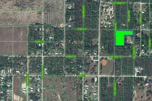 6101 Oak Ridge Ave, Sebring, FL 33876 - Photo 5