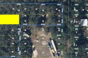 6101 Oak Ridge Ave, Sebring, FL 33876 - Photo 3