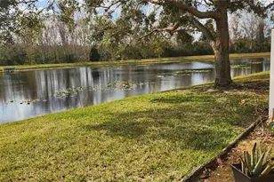 16229 Old Ash Loop, Orlando, FL 32828 - Photo 27