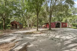 17070 SE 173rd Terrace Rd, Weirsdale, FL 32195 - Photo 31