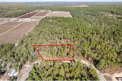 8949 N Farrington Drive, Citrus Springs, FL 34433 - Photo 1